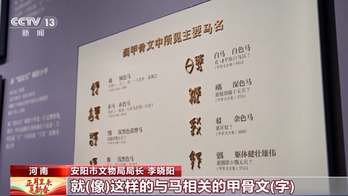 何以春节丨一甲载千古 一马越千年 甲骨文中的马名就有这么多(图6)