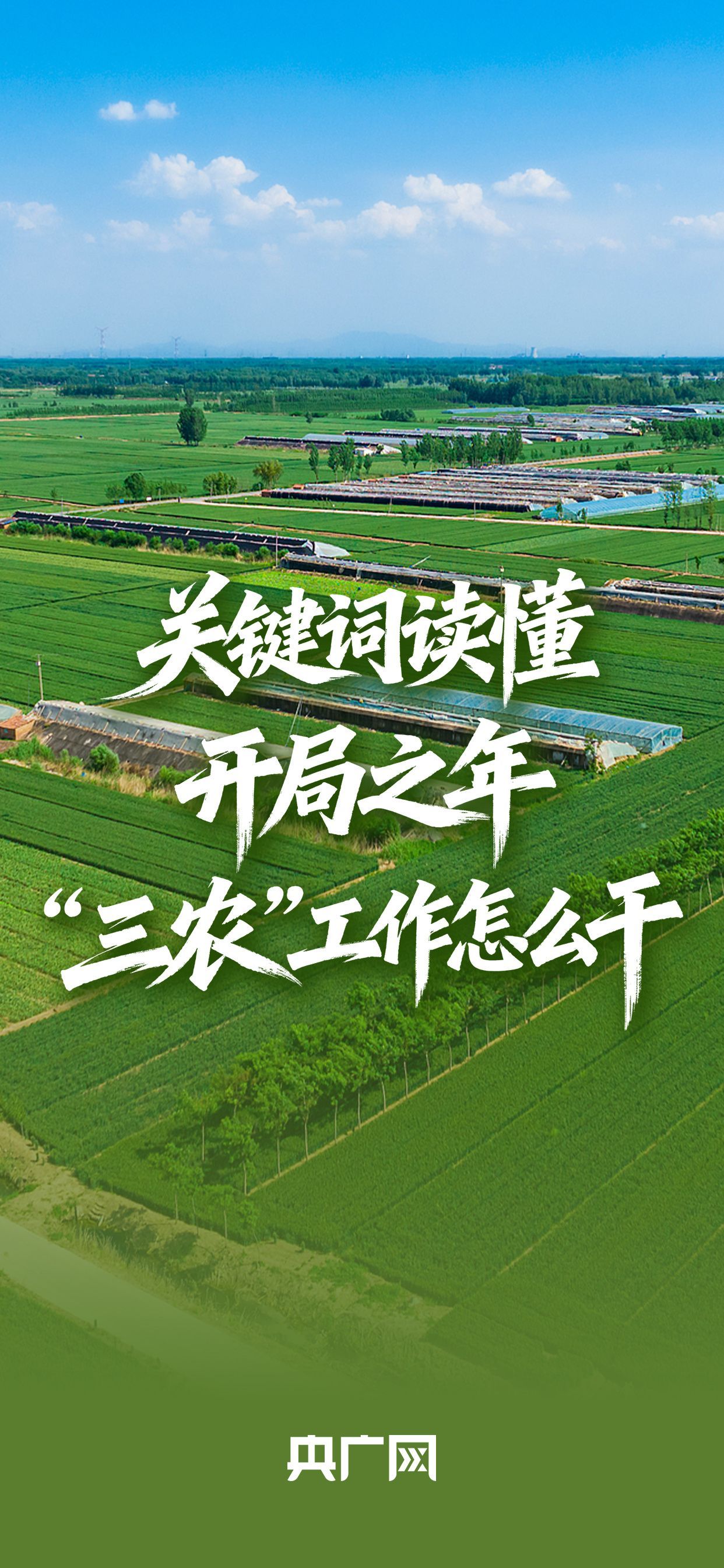  四项重点任务、两大支撑保障！关键词读懂开局之年“三农”工作怎么干