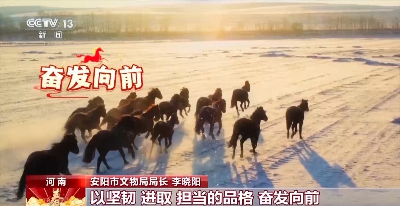 何以春节丨一甲载千古 一马越千年 甲骨文中的马名就有这么多(图8)