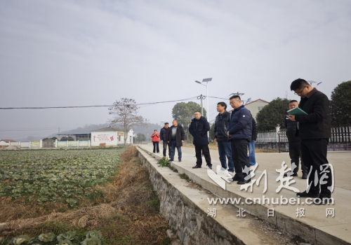 经济“开门红”：荆门市东宝区仙居乡高蛋白玉米种植项目达成初步合作意向