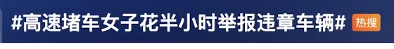 女子拍照举报高速路上20多辆车占应急车道！网友热议......