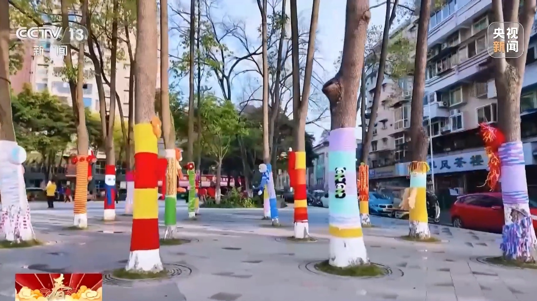 氛围感拉满！街头树木穿“多巴胺毛衣”贺新春