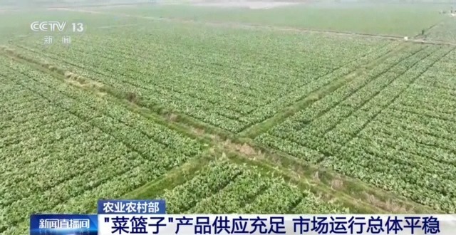  农业农村部：“菜篮子”产品供应充足 市场运行总体平稳
