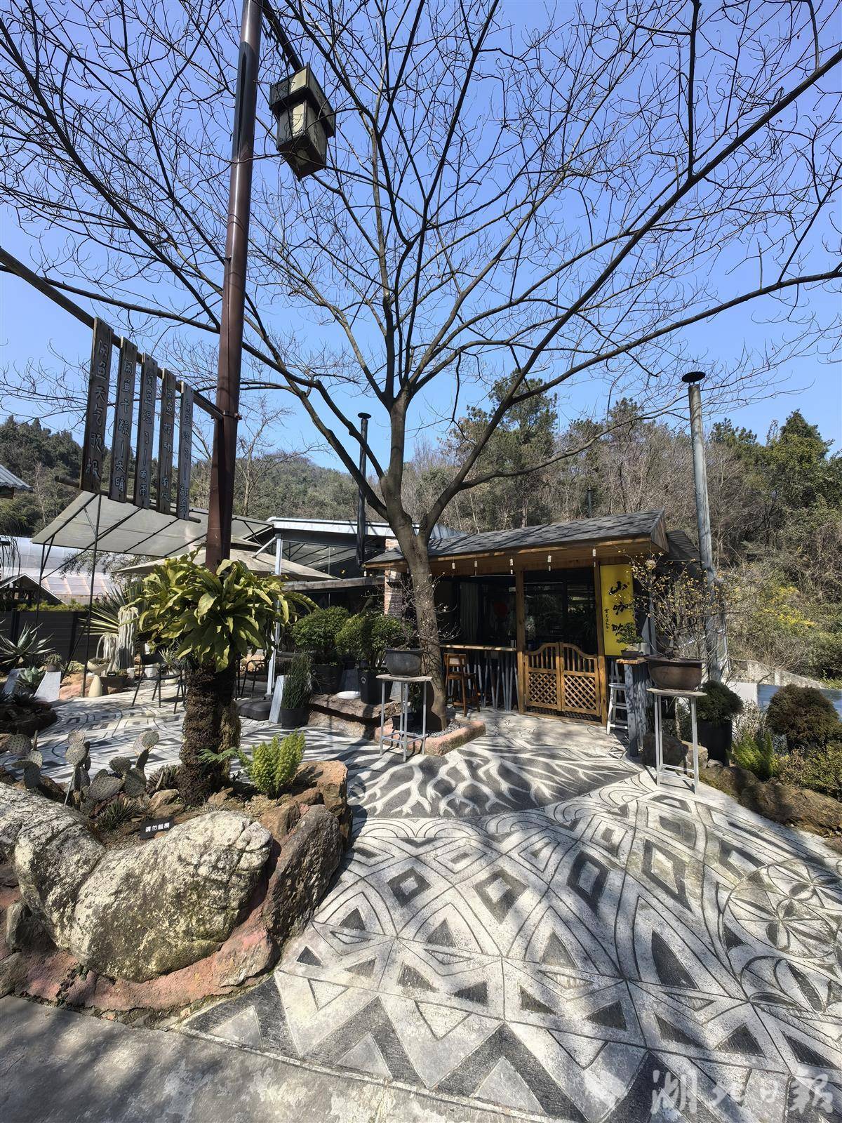 新春走基层丨大年初三，小山村里的咖啡馆迎客来
