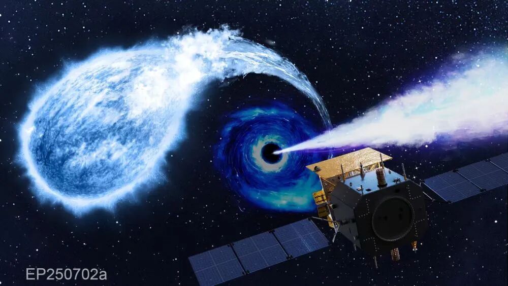 我国卫星捕捉到罕见黑洞事件