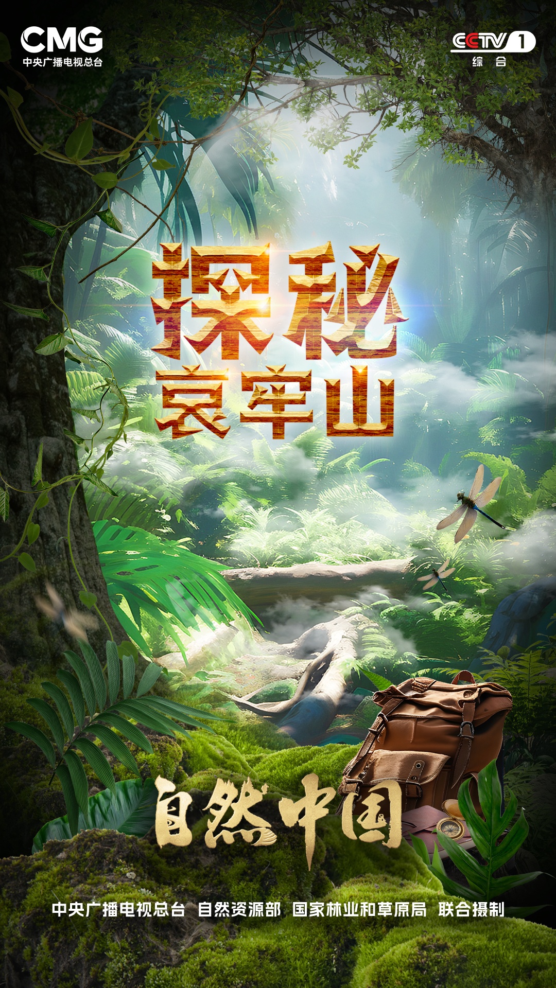 探秘哀牢山丨以科考为钥，全景解码哀牢山自然秘境