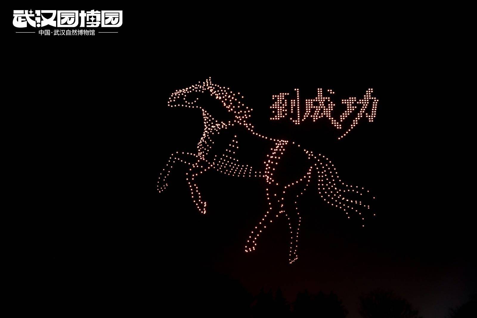  14万游客涌入！武汉园博园上演“科技国潮”年