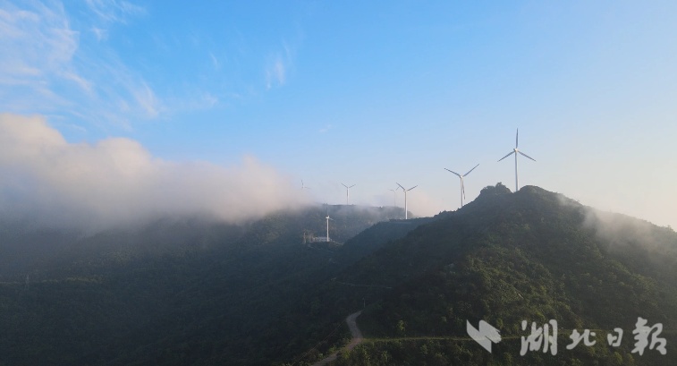 大悟吕王：农文旅融合兴产业 乡村蝶变惠乡亲
