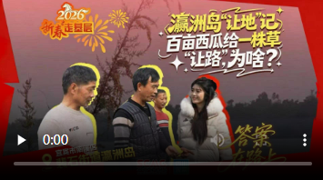 新春走基层㉚百亩西瓜给一株草“让路”，为了啥？