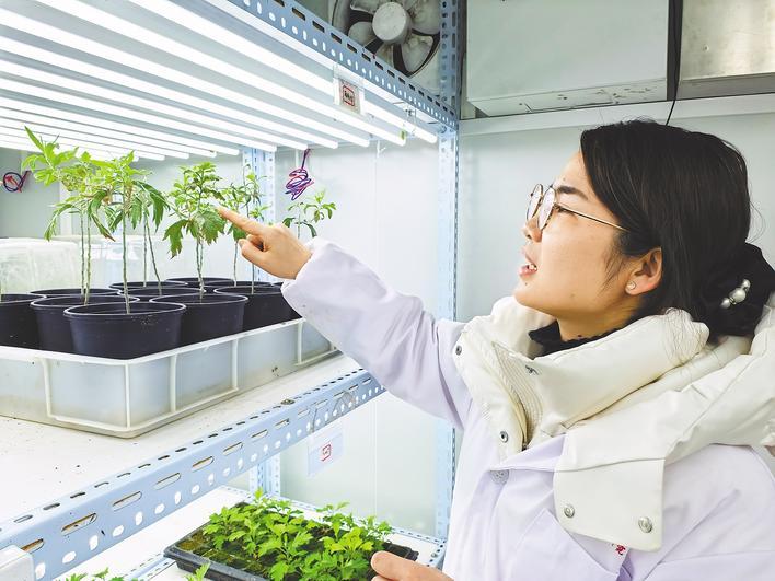 种子要发芽 我们不放假