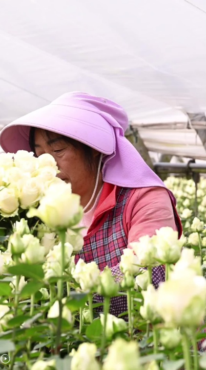 Blooms On Board: High