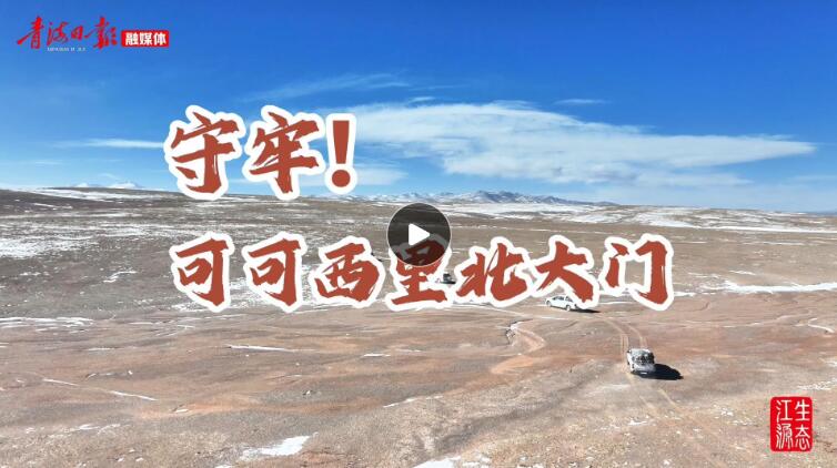 新春走基层｜在无人区，与野牦牛同行的一天