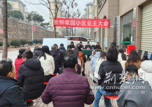 普法护航业委会选举 解锁社区幸福新密码