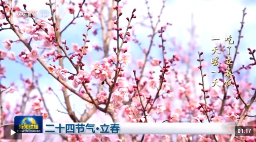  文化中国行丨二十四节气·立春 聆听春的脚步 感受万物萌动