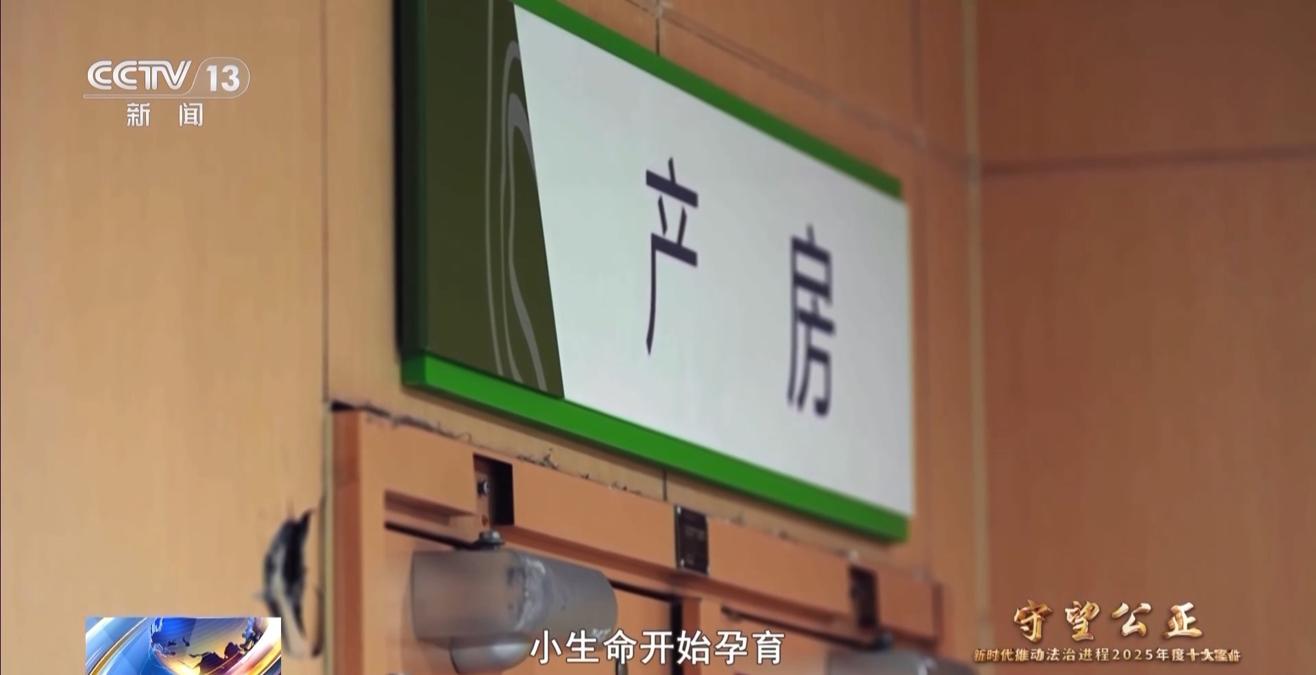 法治在线丨父亲去世“试管婴儿”获工亡抚恤金 案件细节公布