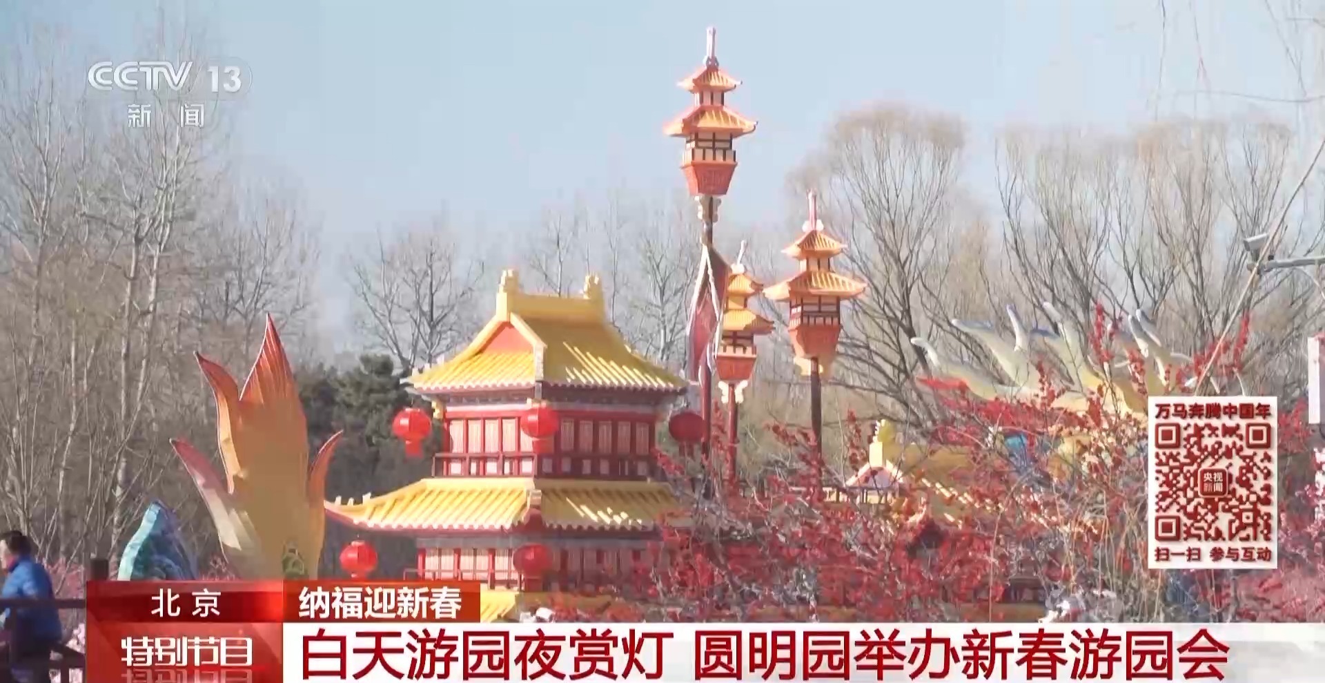 白天游园夜赏灯 圆明园新年氛围感拉满