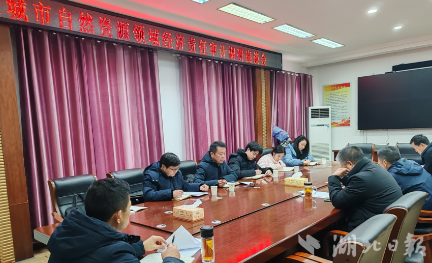 应城市审计局开展自然资源领域审计项目立项前调研