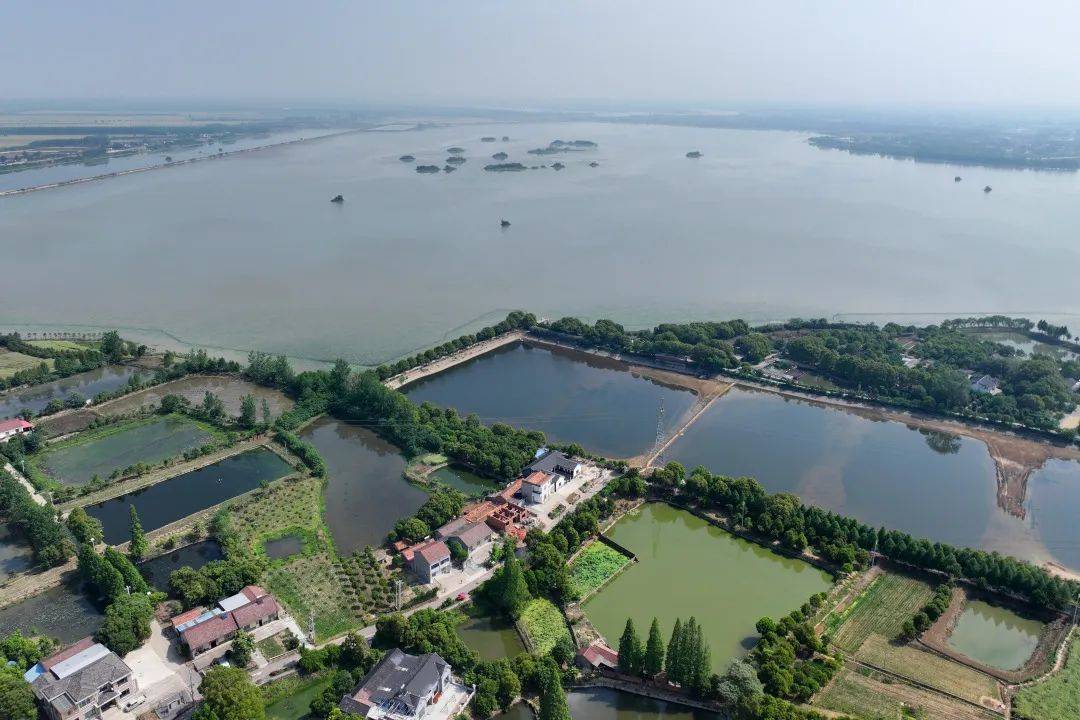 水清了，鸟多了，藕甜了！总投资72亿元长江荆江段及洪湖流域“山水工程”竣工