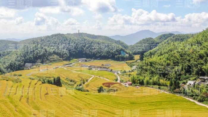  锚定农业农村现代化 中央一号文件精准落子