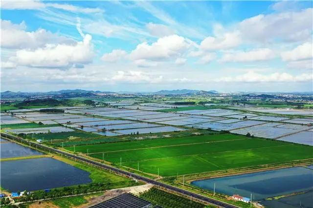 释放水乡潜力——农文旅融合的“南河样本”