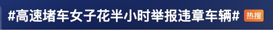  女子拍照举报高速路上20多辆车占应急道！网友热议