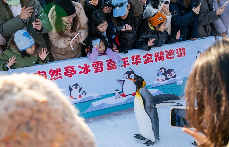 带娃玩雪，为啥这么火？