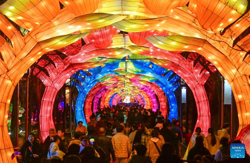 China sees booming cultural and tourism consumption during Spring Festival