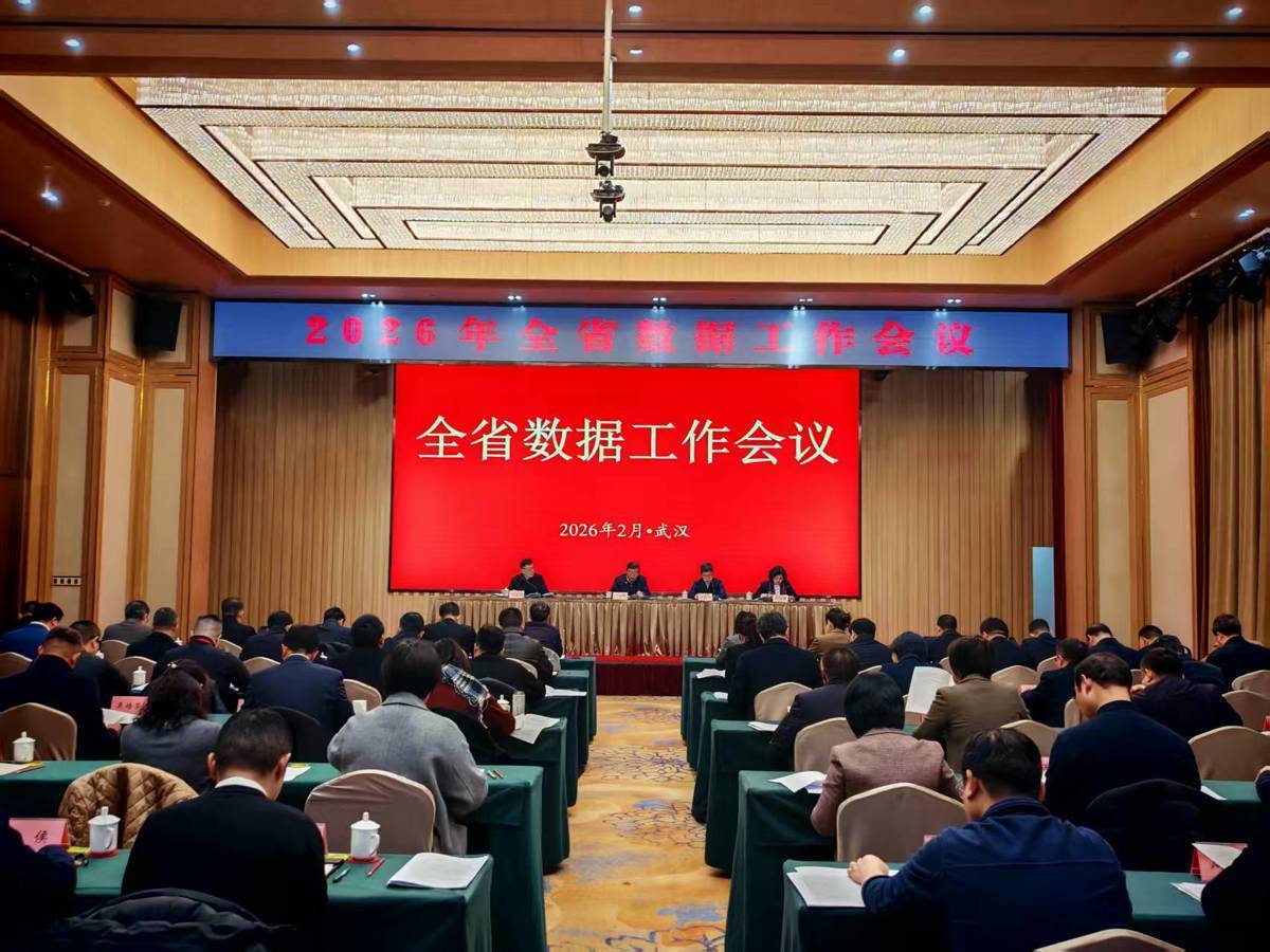 从十个方向发力！2026年，湖北这样释放数据要素价值