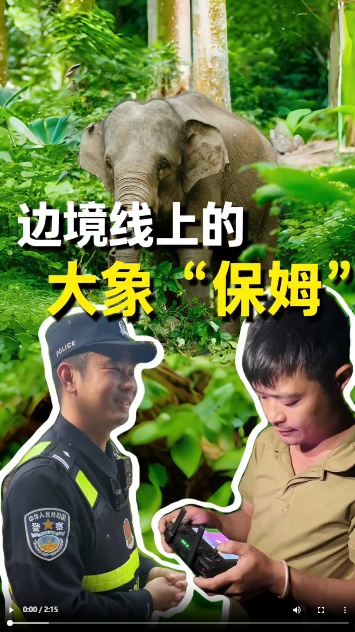 新春走基层｜雨林深处护象忙