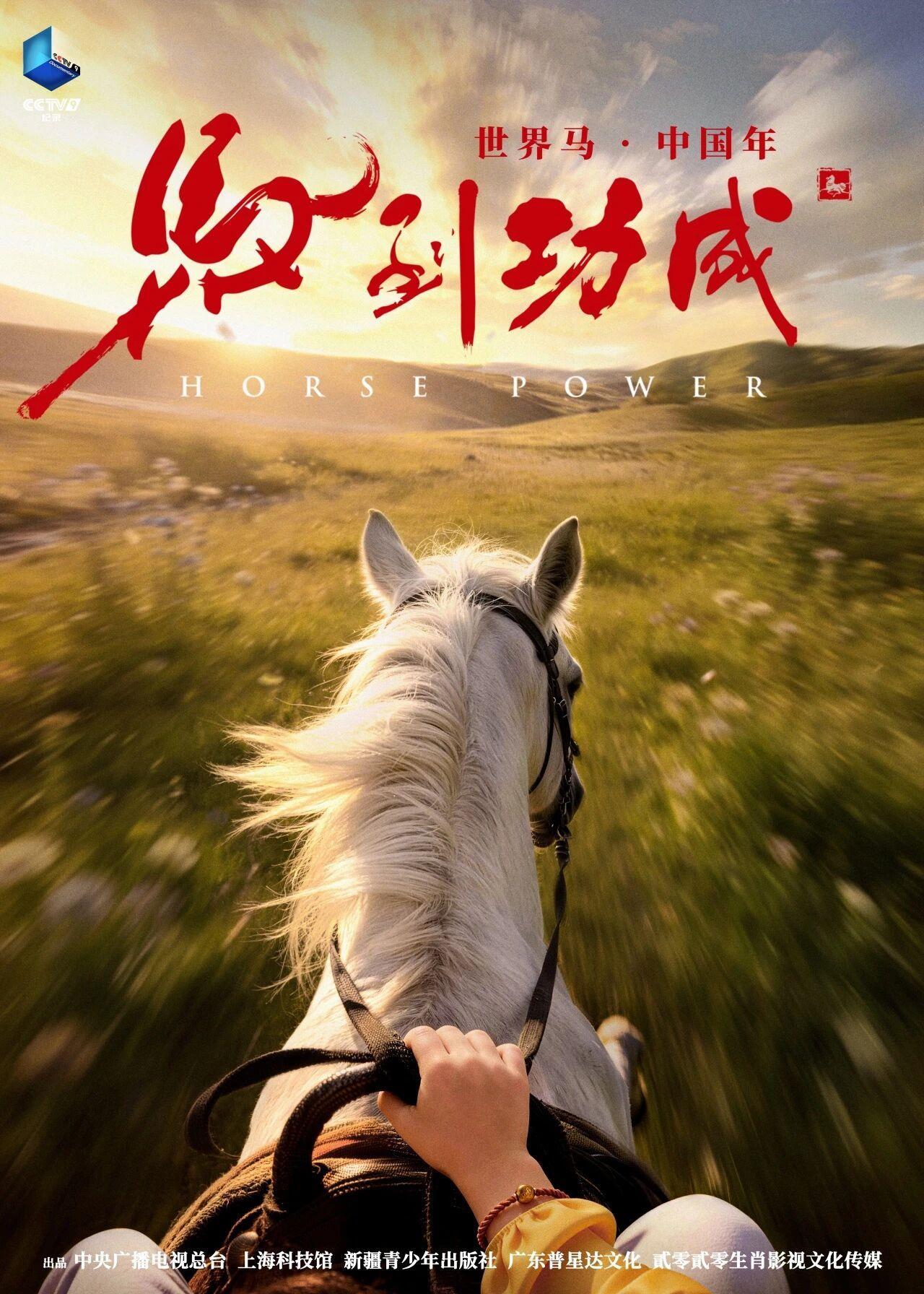  马年看马！全球首部生肖动物电影《马到功成》踏春而来