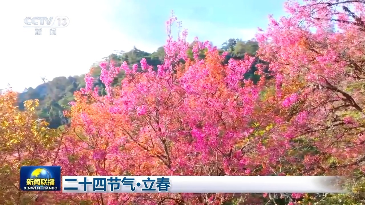 文化中国行丨二十四节气·立春 聆听春的脚步 感受万物萌动