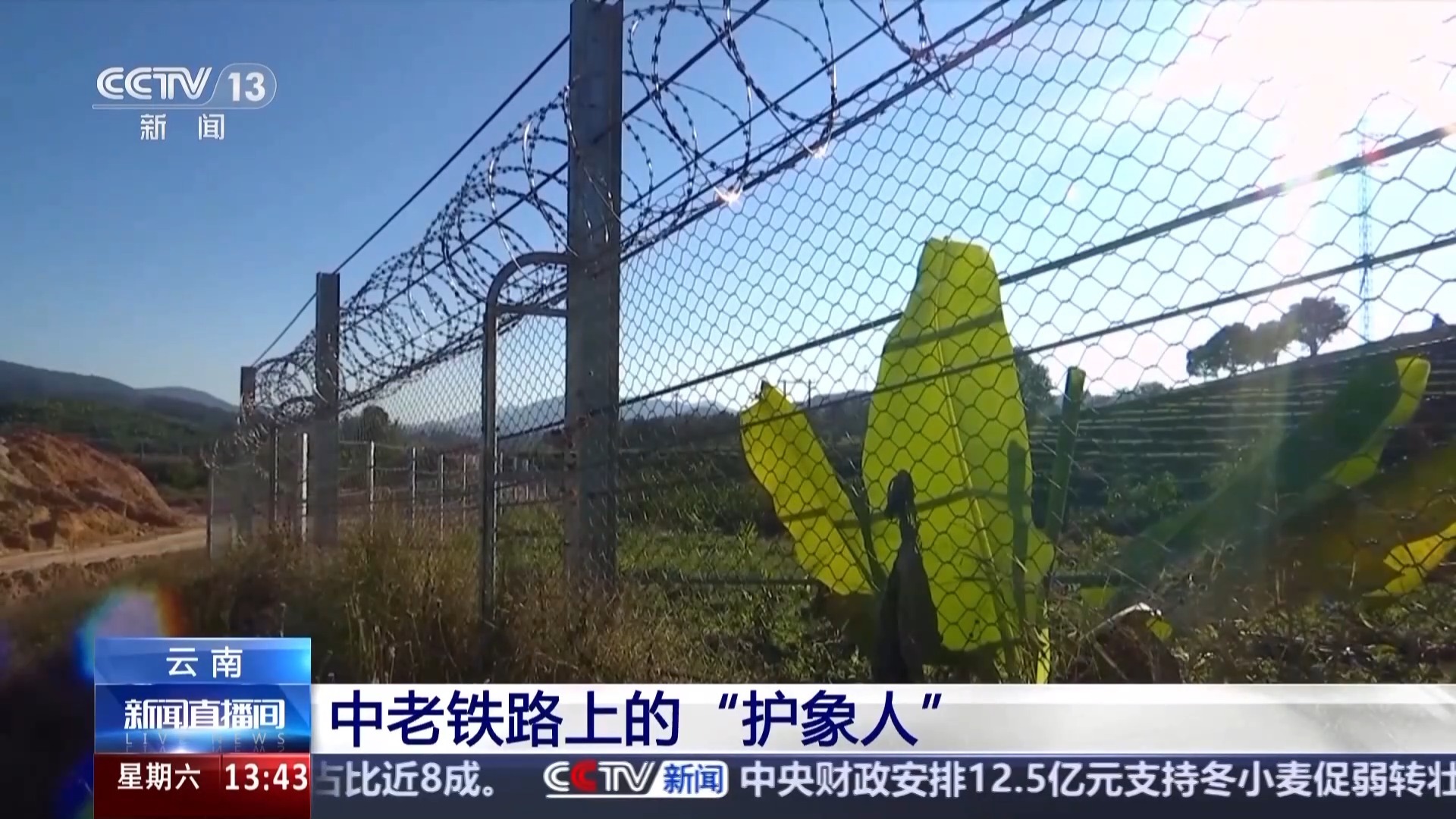  用科技守护生态平衡 他们是中老铁路上的“护象人”
