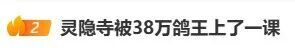 “灵隐寺对38万爽约者出手了”