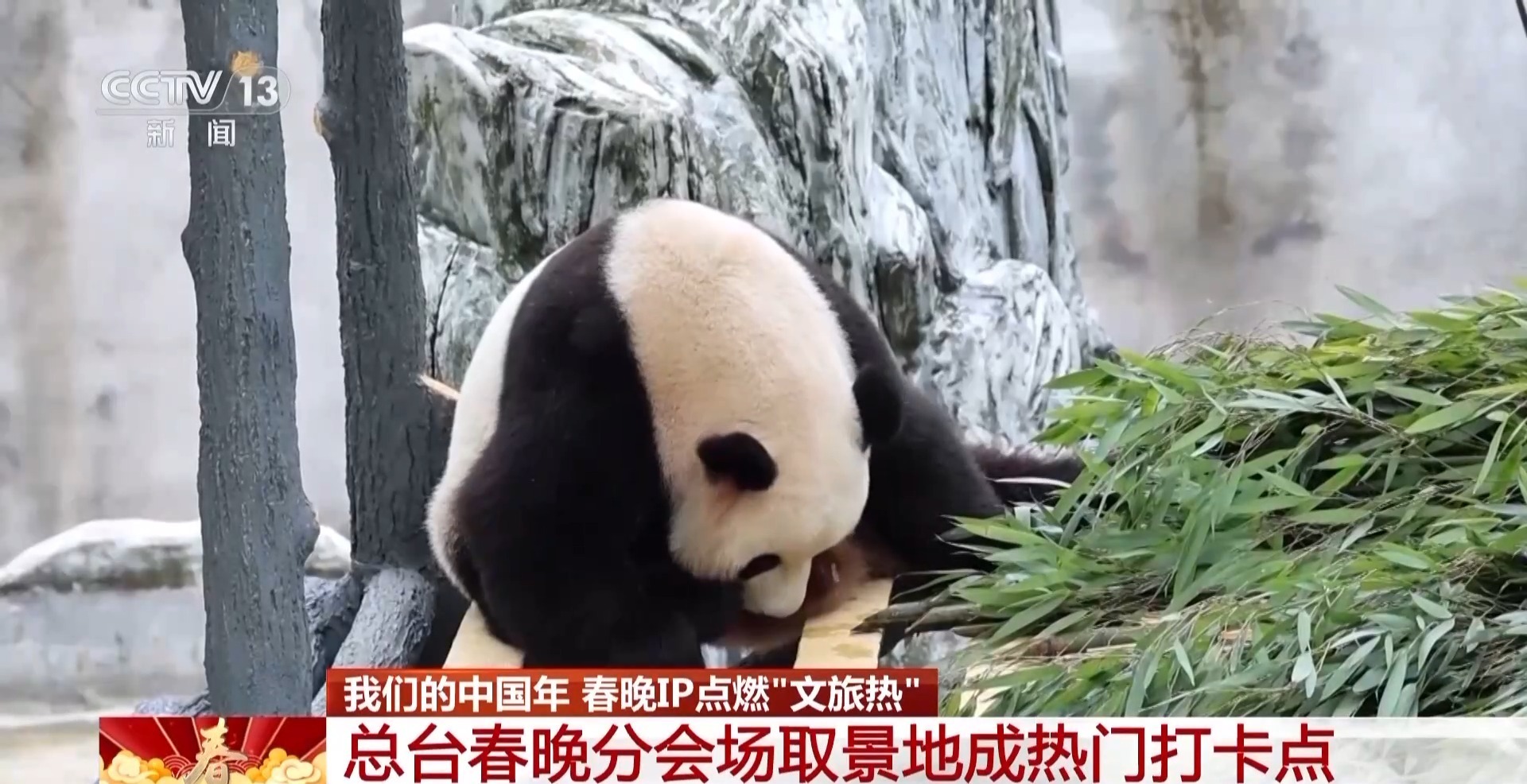  春晚IP点燃“文旅热” 分会场取景地成热门打卡点
