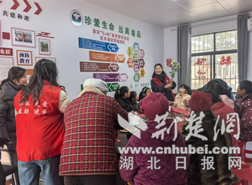 钟祥市打响春节前罂粟幼苗净铲除战役 筑牢禁毒防线
