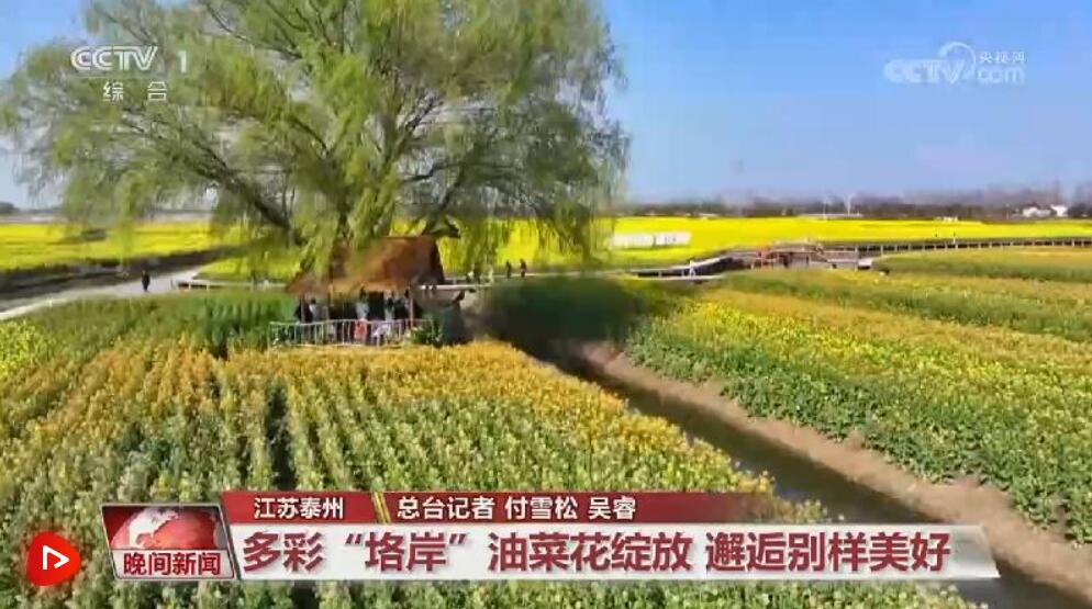 “好颜值”扮靓赏春消费 春日画卷引客来文旅市场暖意浓浓