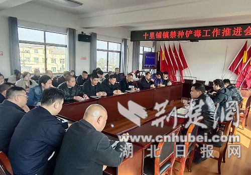 沙洋公安多措并举筑牢春季禁种防线