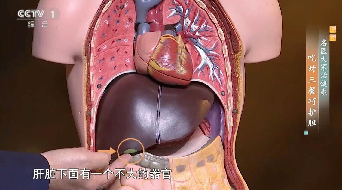  改了这3个饮食习惯 预防胆囊癌找上你