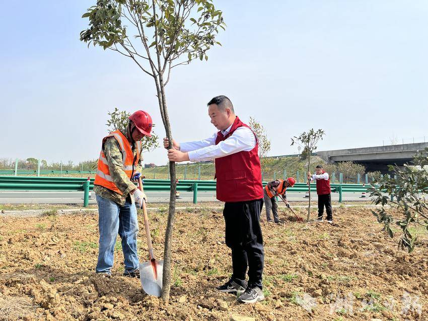 植此青绿向美而行 应城北党支部奏响2026植树节绿色“三部曲”