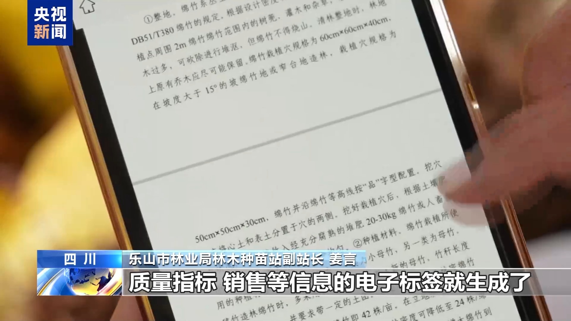 扫码知“身世” 科技护绿让每棵苗的生长都有迹可循