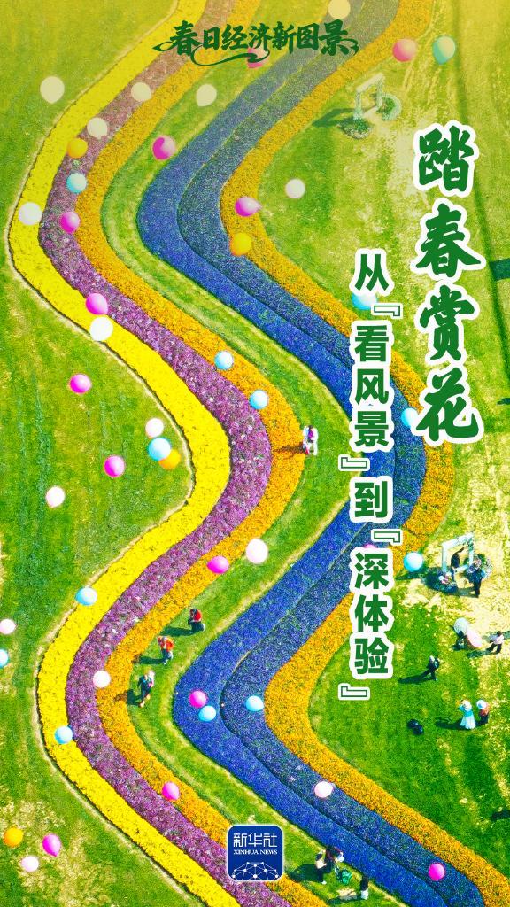 春日经济新图景｜踏春赏花，从“看风景”到“深体验”