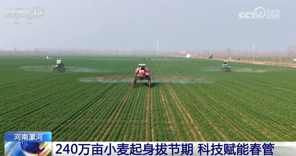从“靠经验”向“靠数据”转变 科技为农业生产装上了“数字大脑”