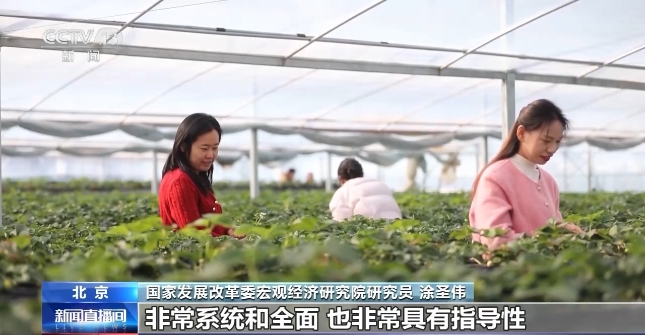  “十五五”“三农”新目标：主动应变 稳中求进