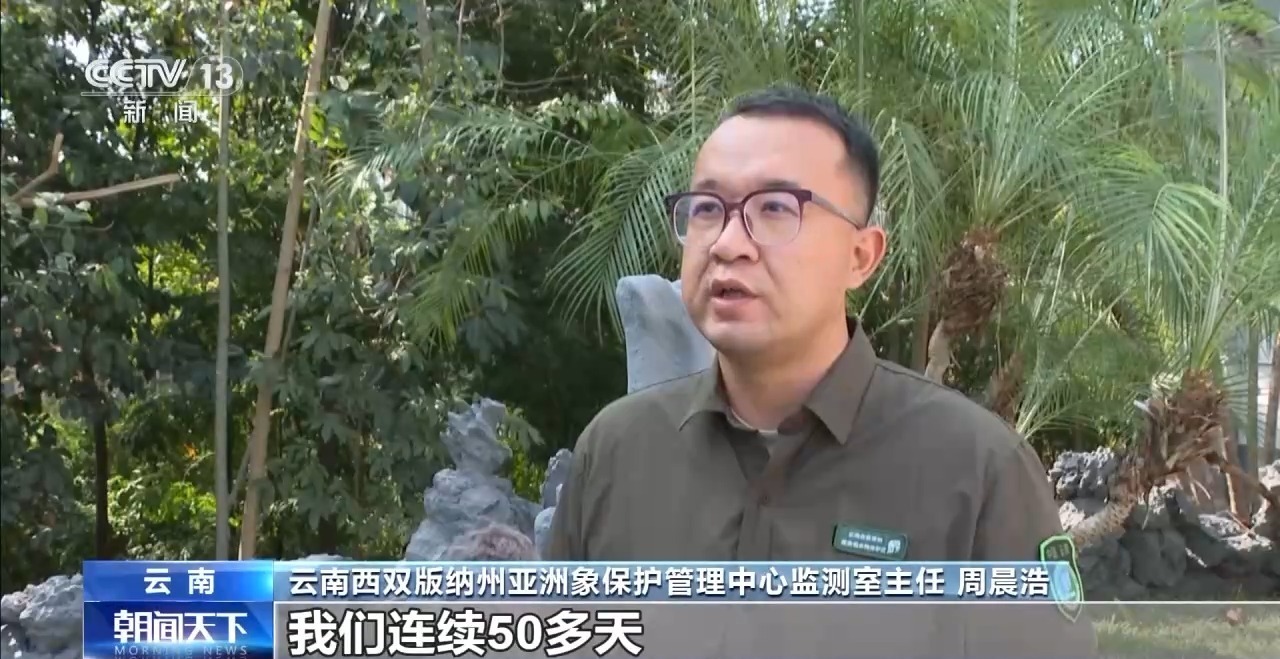 特别“家庭旅行团”亮相 我国野生动植物保护交出亮眼答卷