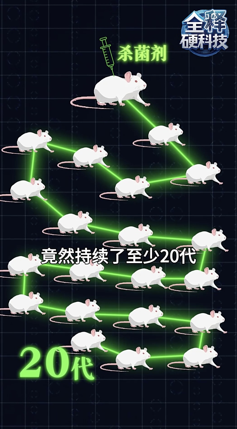 颠覆认知！怀孕大鼠接触杀菌剂，健康影响竟延续至少20代