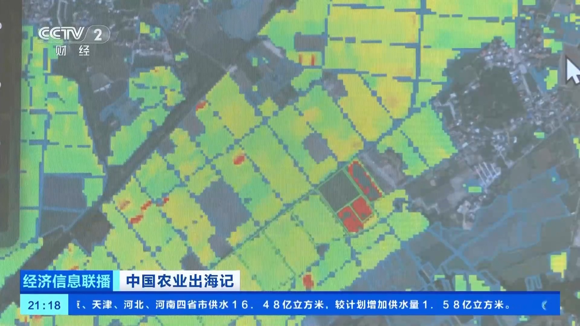稻田变身“无人农场” 看AI“最强大脑”如何种地