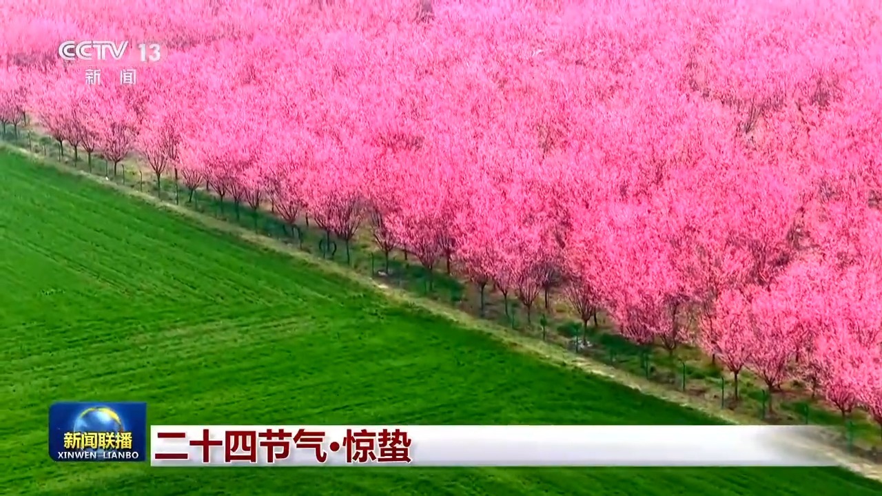  文化中国行丨二十四节气·惊蛰