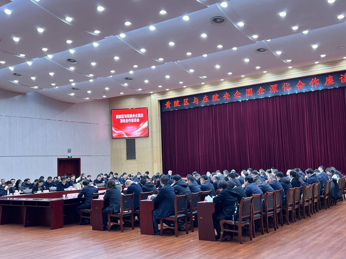 黄陂召开与在陂央企及省市国企深化合作座谈会