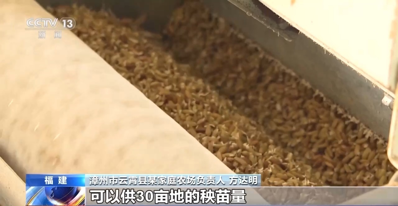 秧苗也有“流水线” 福建推广工厂化育苗提升育秧效率