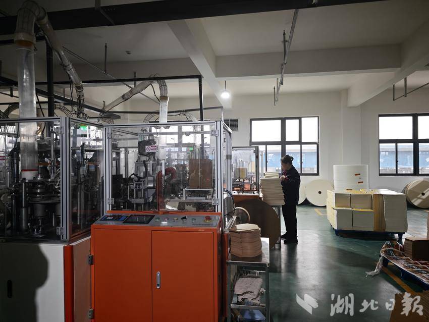 必一智能运动科技：【奋战开门红】嘉阔环保：一分钟“吐出”130个纸杯绿色包装产业奋战“开门红”(图1)